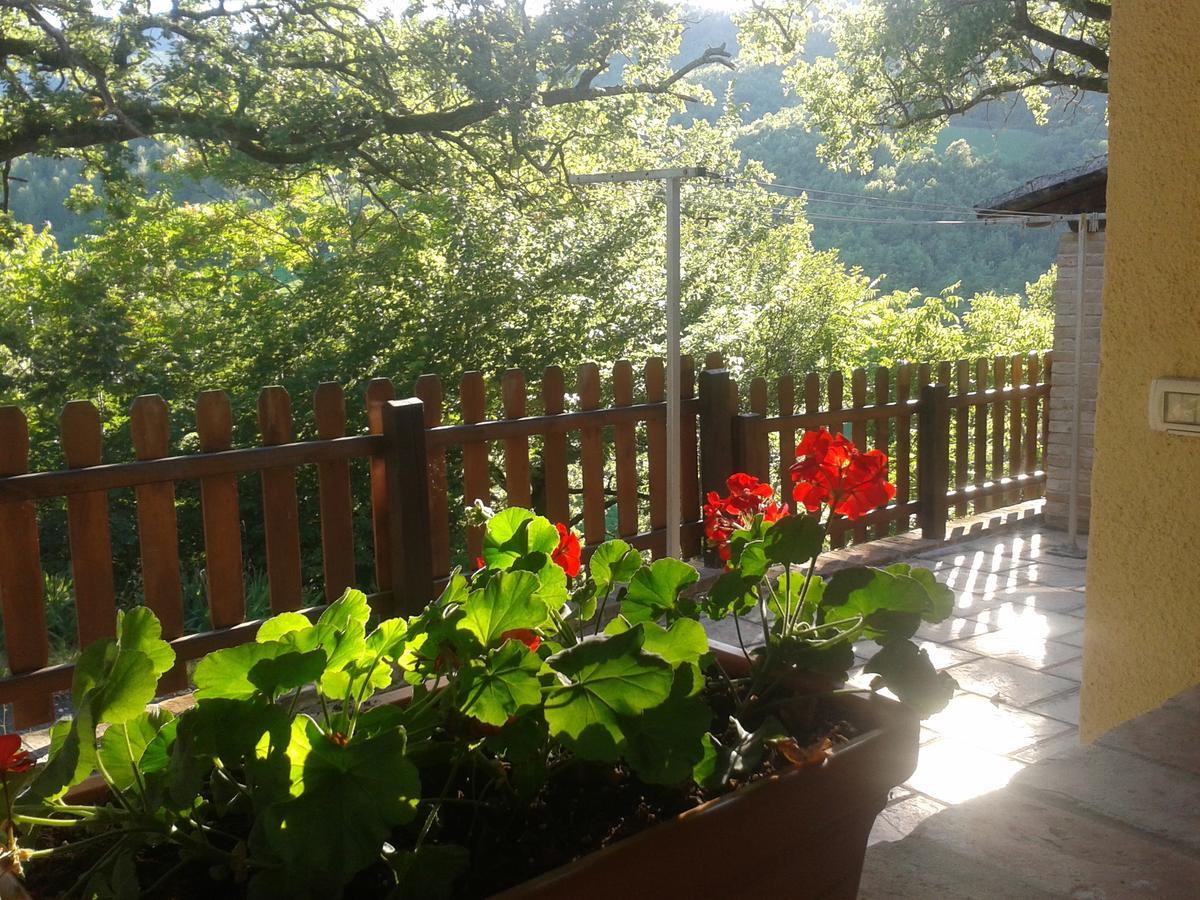 Agriturismo Orsaiola 우르바니아 외부 사진