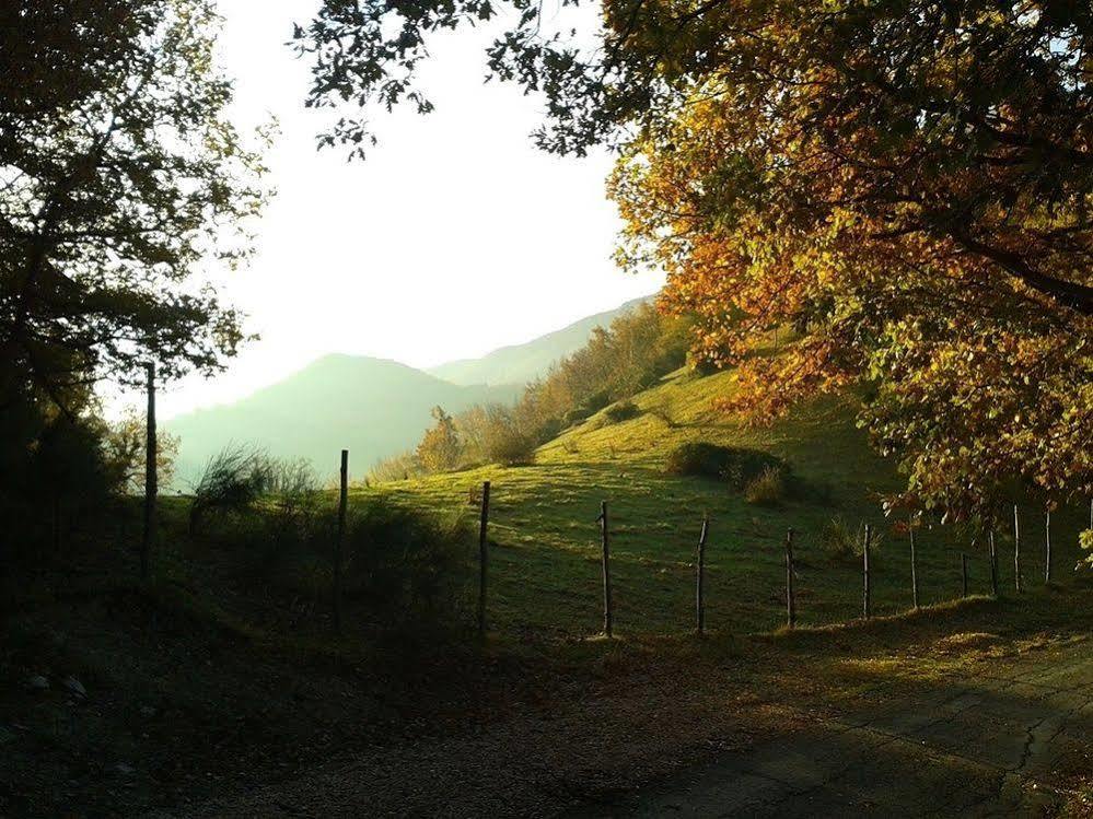 Agriturismo Orsaiola 우르바니아 외부 사진
